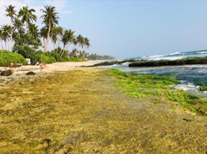 فيليغاما Sandaru Surffing Inn المظهر الخارجي الصورة