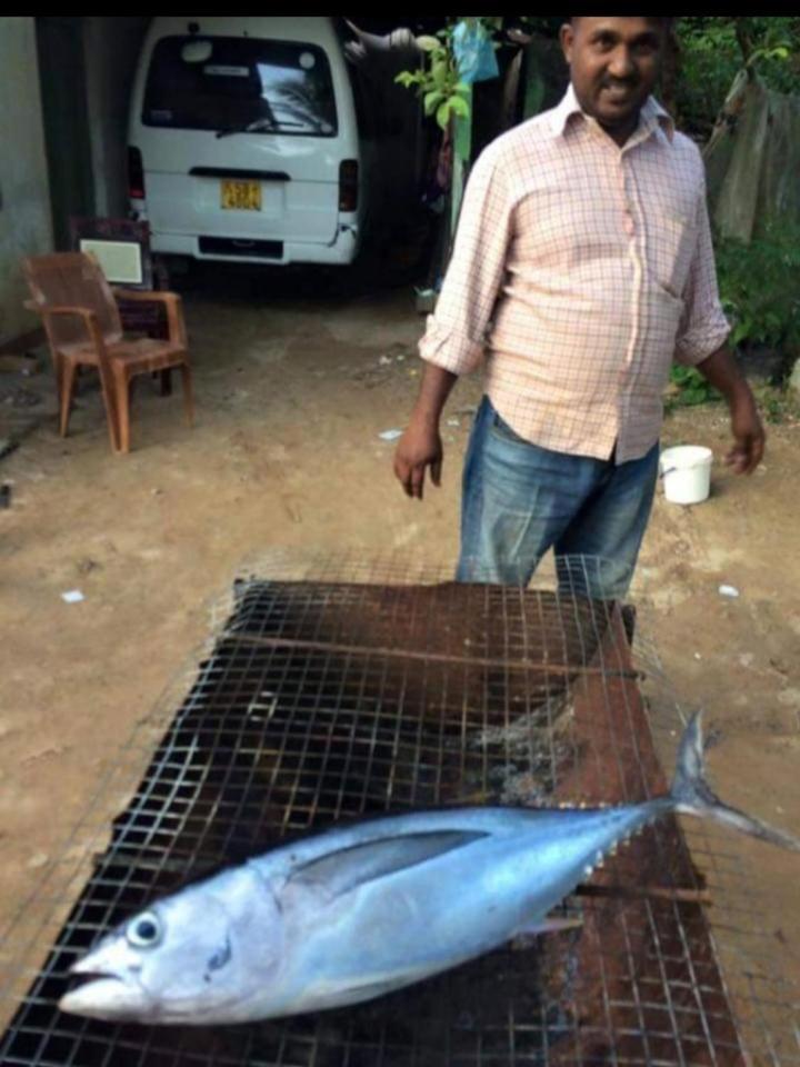 فيليغاما Sandaru Surffing Inn المظهر الخارجي الصورة