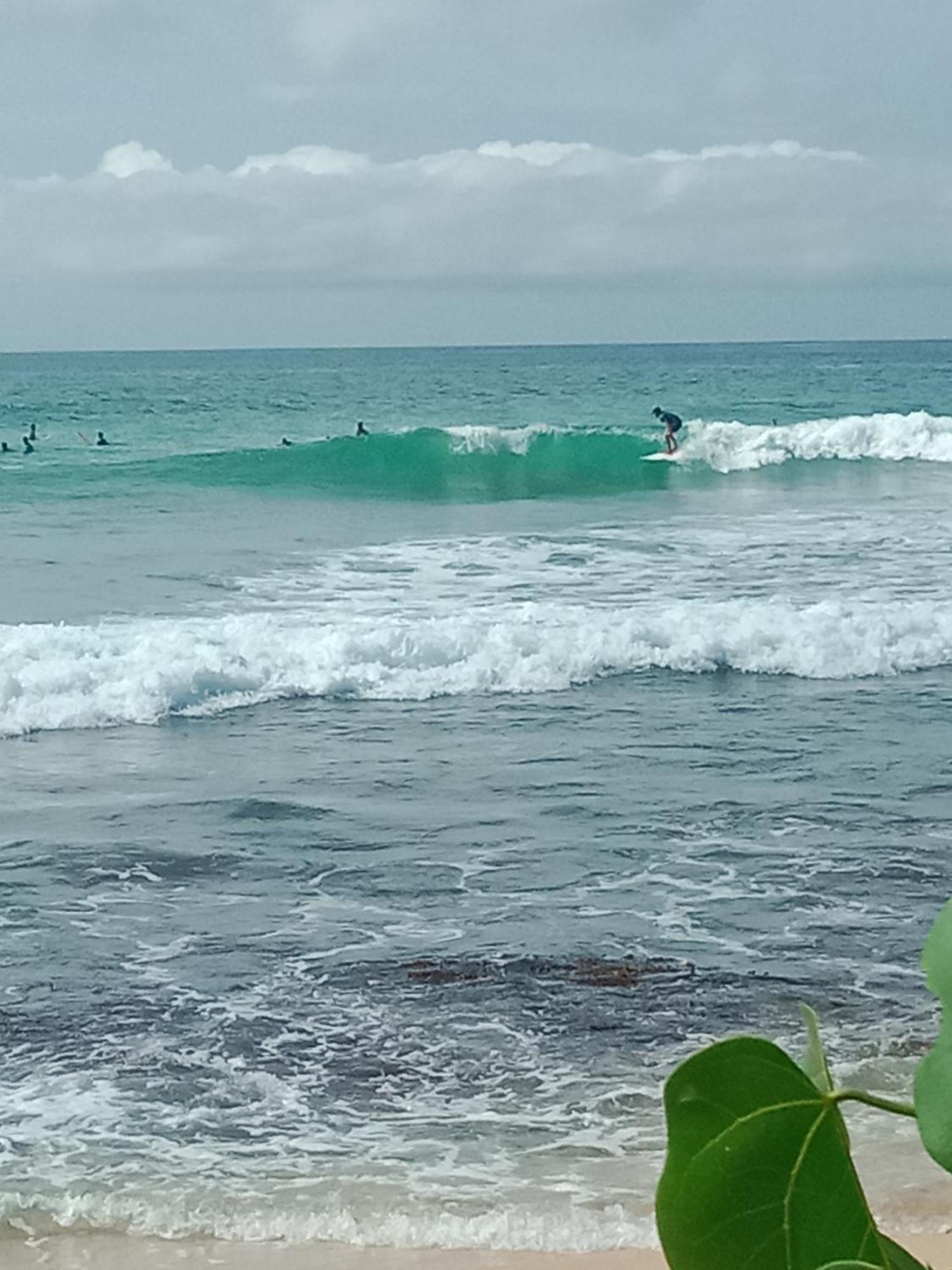 فيليغاما Sandaru Surffing Inn المظهر الخارجي الصورة